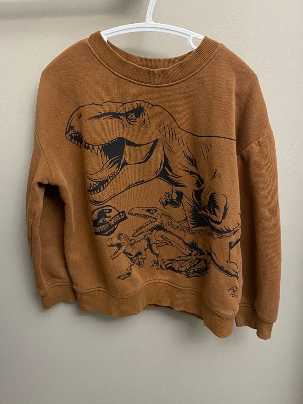 Jurassic Park Sweater 💚2 for 20💚